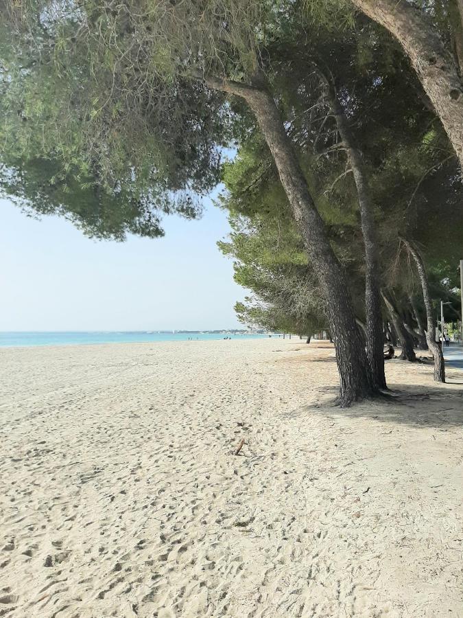 Beach Apartment Minerva Port de Alcudia  ภายนอก รูปภาพ